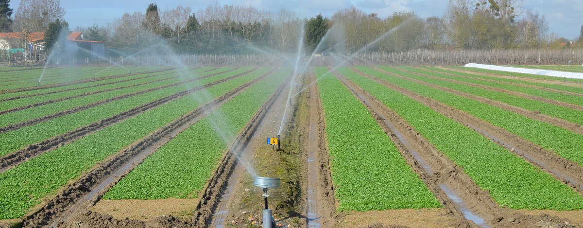 L’hydrique et son impact sur l’irrigation