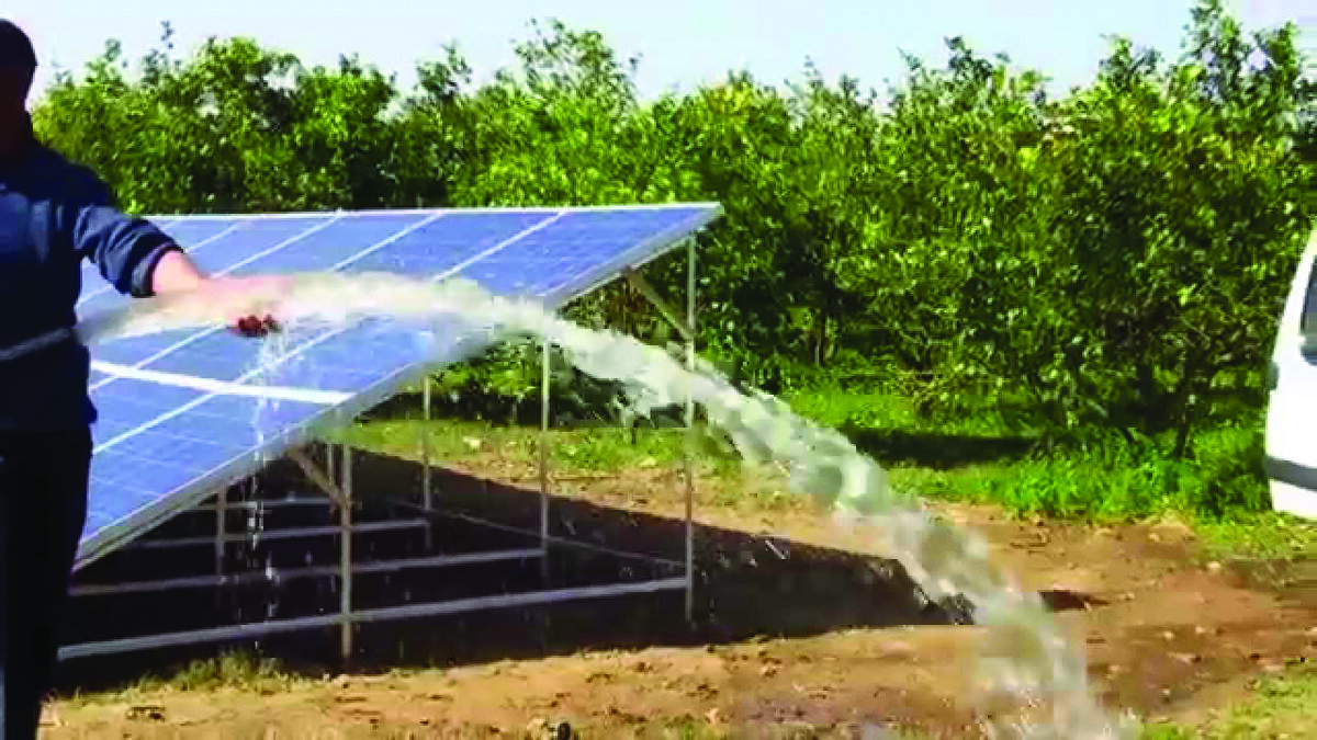 L’énergie solaire prend pied dans l’agriculture