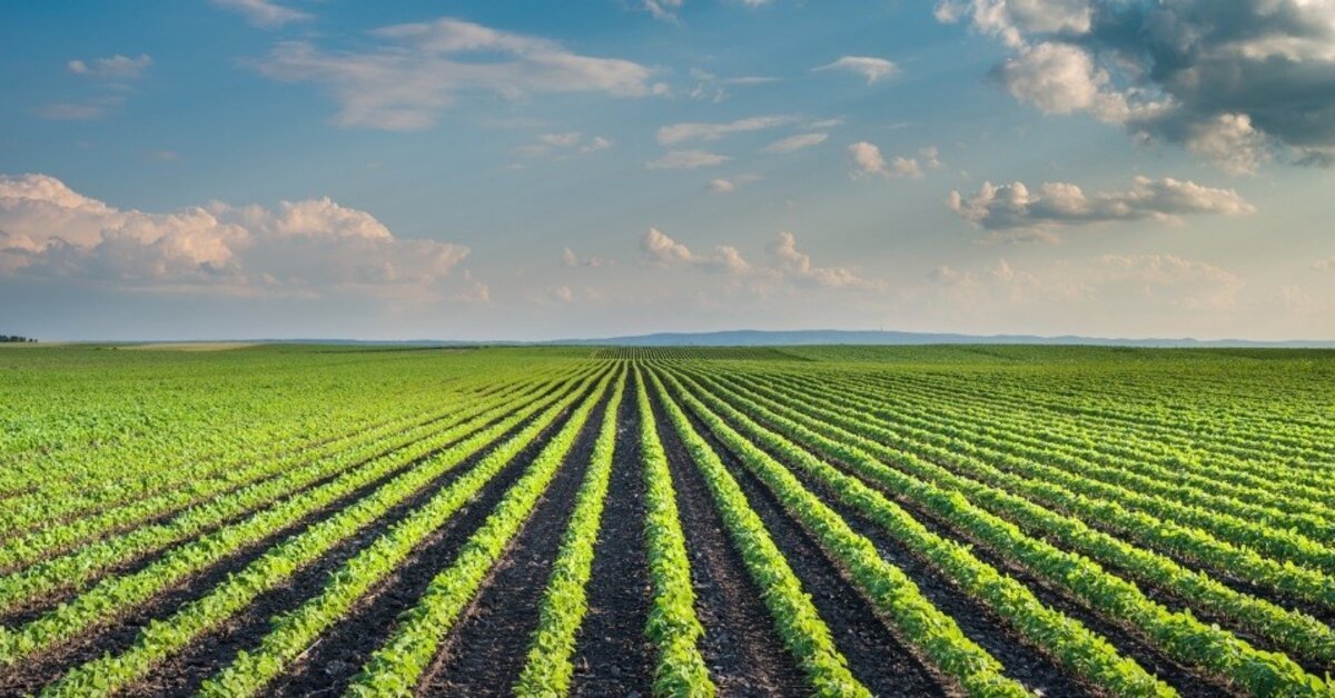 L’agriculture, espérance de développement