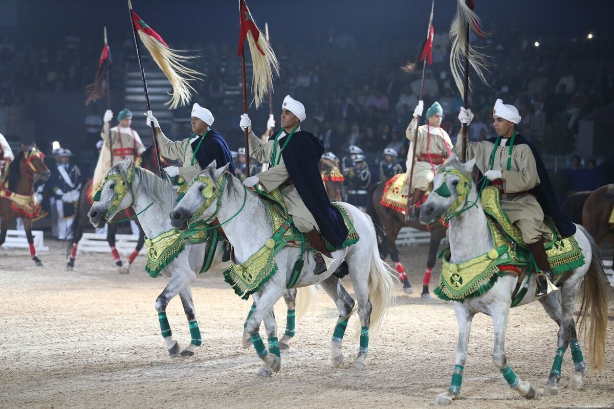 Salon du Cheval d’El Jadida