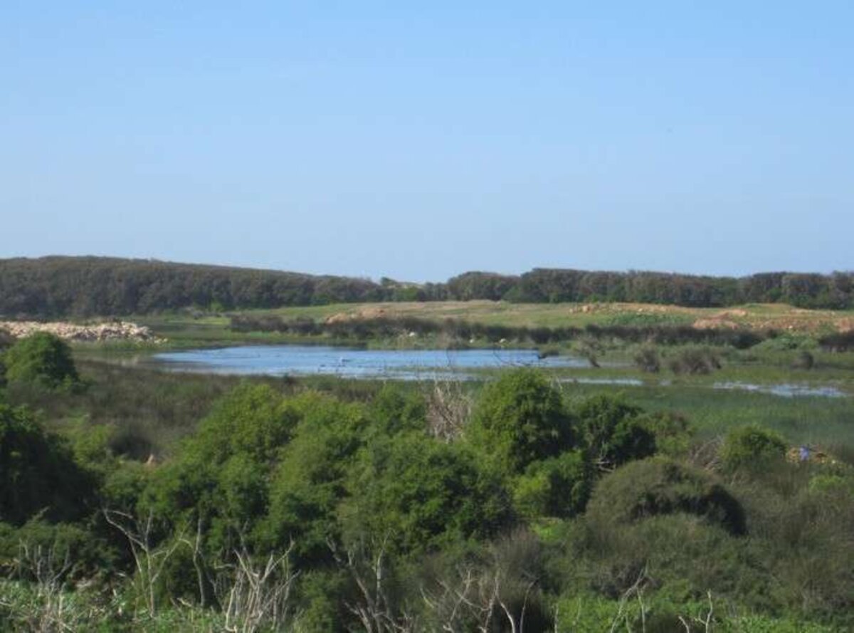 Zones humides: halo sur le lac Dar Bouazza