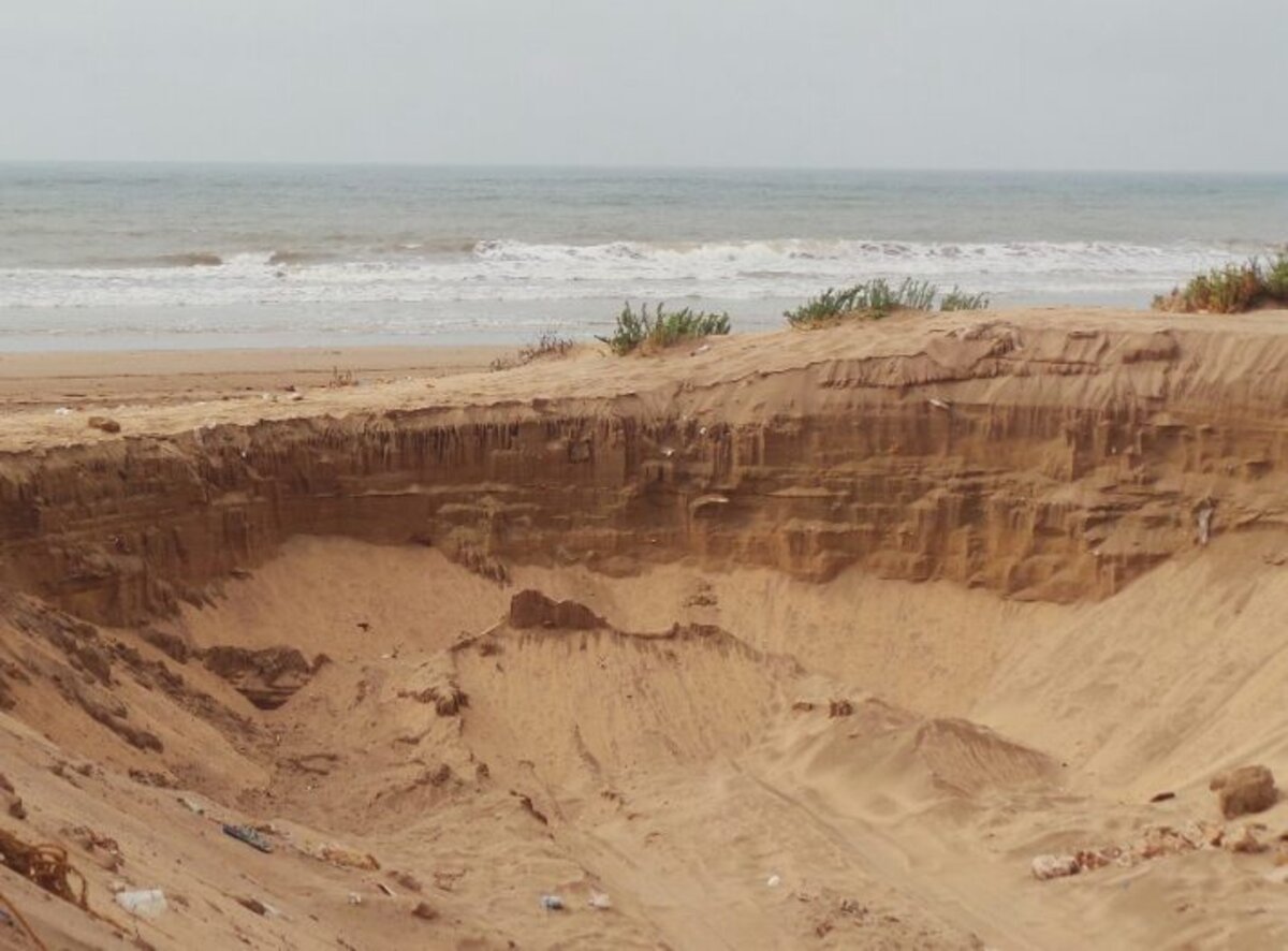 Le sable ouvre l'appétit aux braconniers