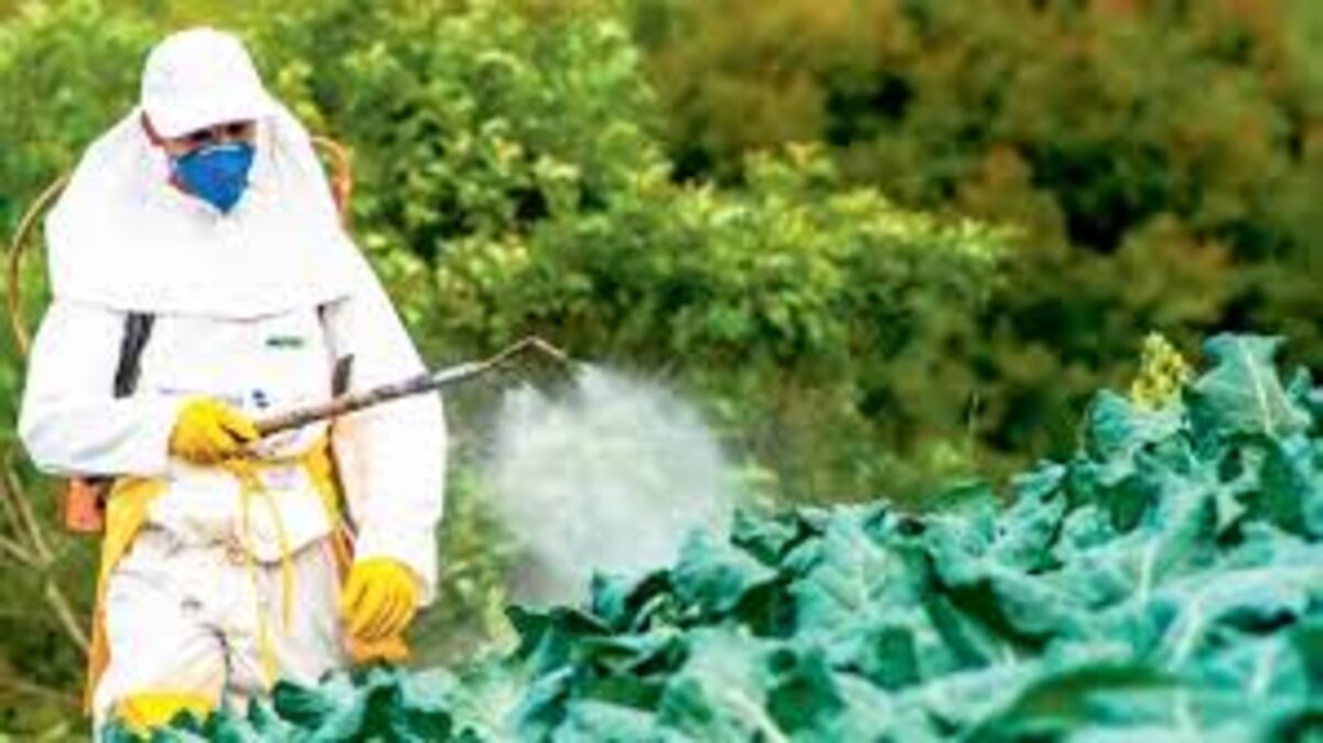 Grande quantité de pesticides saisie au port de Casablanca