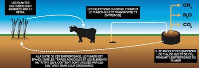 Le méthane contribue aussi au réchauffement climatique