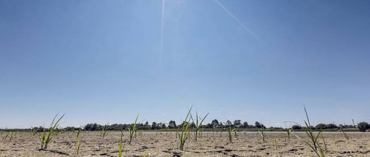 Repercussion du réchauffement climatique sur l'agriculture et le BTP