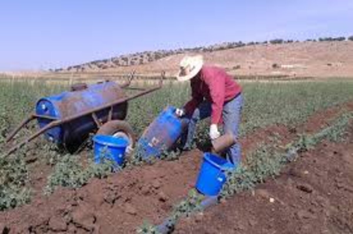 "Al Moutmir itinérant",une campagne OCP via "souks" et communes rurales