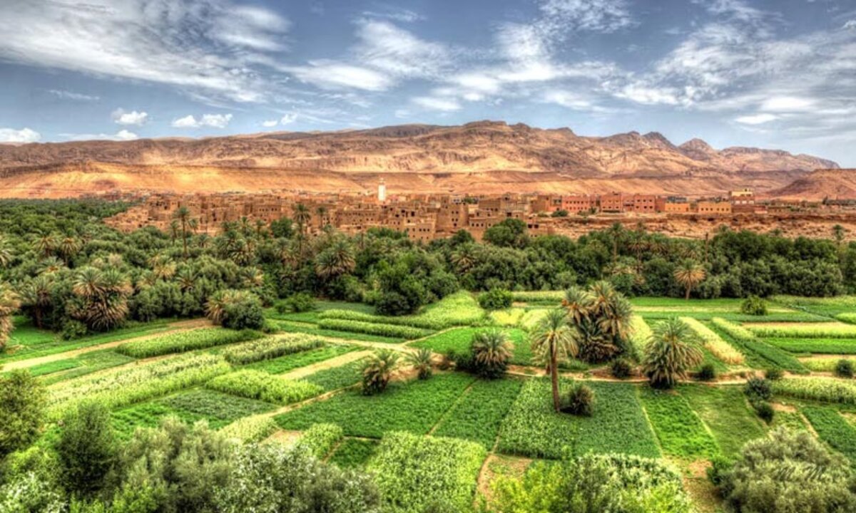 Errachidia – De grands efforts ont été déployés ces dernières années en matière d’économie de l’eau d’irrigation