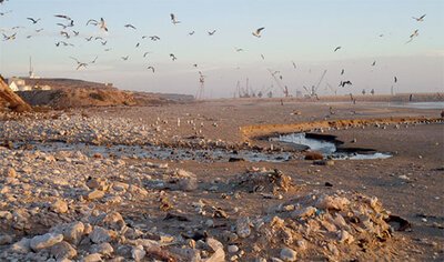 Hynd Bouhia : L’empreinte écologique marocaine s’alourdit