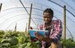 Can Artificial Intelligence Mitigate and Help Adapt to Climate Change Impacts on Agriculture ?