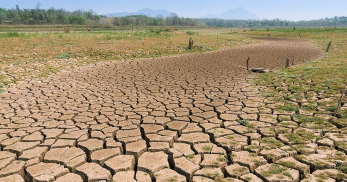 Quelle relation entre Agriculture et Changement Climatique ?